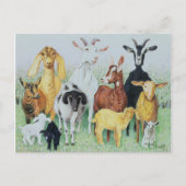 In klaver briefkaart (Voorkant)