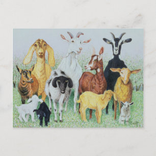 In klaver briefkaart