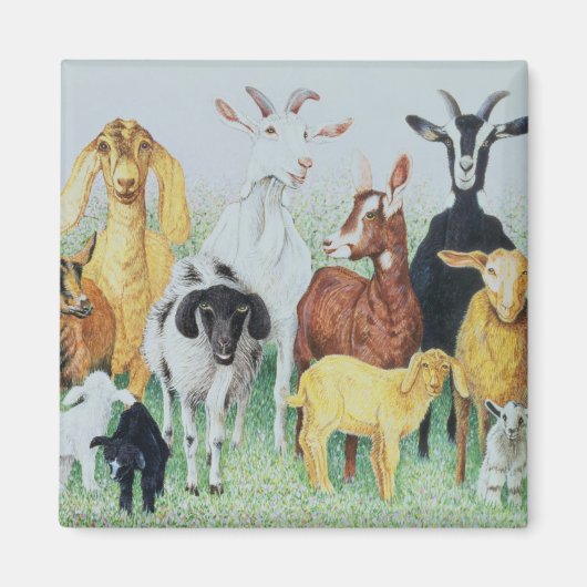 In klaver magneet (Voorkant)