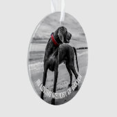 In liefdevolle herinnering | Bewaar het fotomonume Ornament (voorkant)