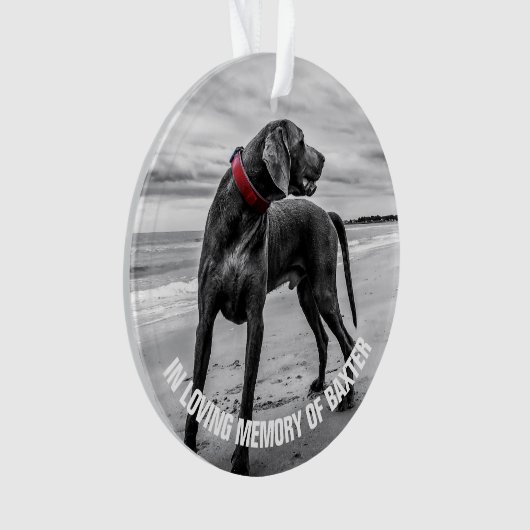 In liefdevolle herinnering | Bewaar het fotomonume Ornament (voorkant)