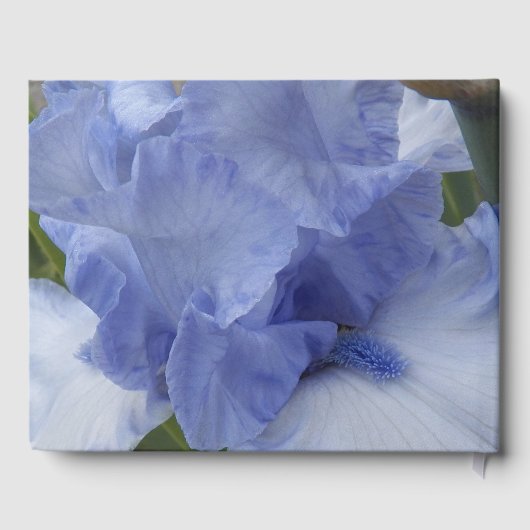 In liefdevolle herinnering Blue Iris Memorial Gastenboek (Achterkant)
