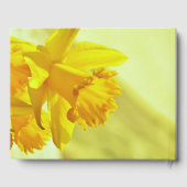 In liefdevolle herinnering | Daffodil Funeral Memo Gastenboek (Achterkant)