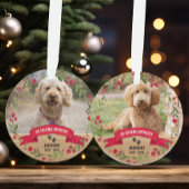 In liefdevolle herinnering Pet Memorial 2-foto Kee Ornament