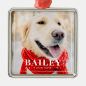 In liefdevolle herinnering Pet Memorial ingelijst  Metalen Ornament (Voorkant)