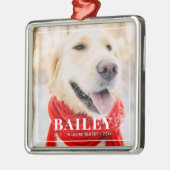 In liefdevolle herinnering Pet Memorial ingelijst  Metalen Ornament (Links)