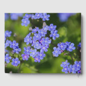 In liefdevolle herinnering | Vergeet-me-niet begra Gastenboek (Achterkant)