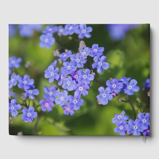 In liefdevolle herinnering | Vergeet-me-niet begra Gastenboek (Achterkant)