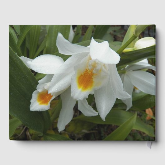 In liefdevolle herinnering White Orchids Memorial Gastenboek (Achterkant)