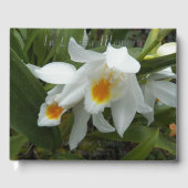 In liefdevolle herinnering White Orchids Memorial Gastenboek (Voorkant)