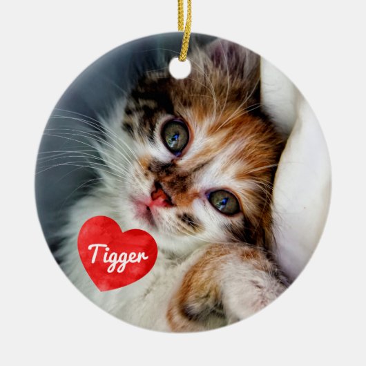 In liefhebbend geheugen - Cat Photo Pet Memorial Keramisch Ornament (Voorkant)