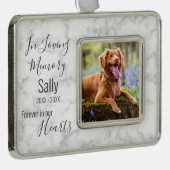 In liefhebbend geheugen - Sympathie bij het verlie Verzilverd Omlijst Ornament (Rechts)