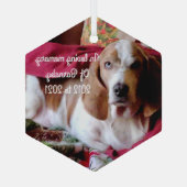 In liefhebbende geheugenhuishoed glas ornament (Achterkant)