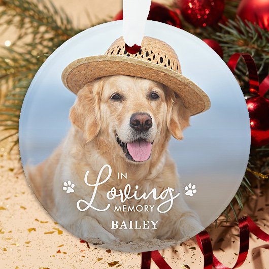 In Looptijd Geheugen Aangepaste Pet Dog 2 Foto Mem Ornament