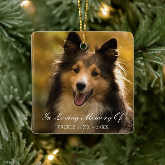 In Looptijd geheugen Elegant Photo Pet Memorial Keramisch Ornament (Boom)