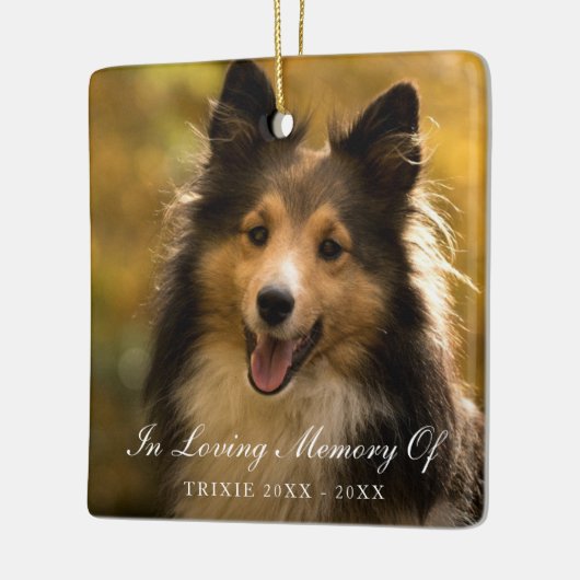 In Looptijd geheugen Elegant Photo Pet Memorial Keramisch Ornament (Links)