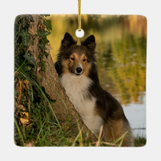 In Looptijd geheugen Elegant Photo Pet Memorial Keramisch Ornament (Achterkant)