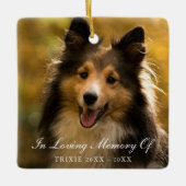 In Looptijd geheugen Elegant Photo Pet Memorial Keramisch Ornament (Voorkant)