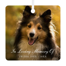 In Looptijd geheugen Elegant Photo Pet Memorial