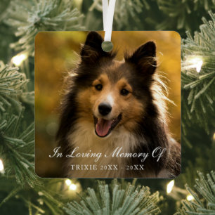 In Looptijd geheugen Elegant Photo Pet Memorial Metalen Ornament
