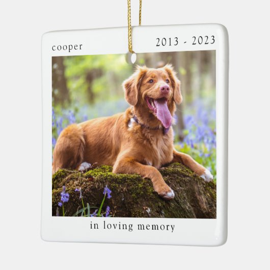 In Looptijd Geheugen Foto Pet Memorial Keramisch Ornament (Links)
