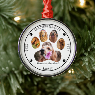 In Looptijd Geheugen Foto Pet Memorial - White Metalen Ornament