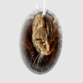 In Looptijd Geheugennaam Cat Dog Pet Memorial Ornament (voorkant)