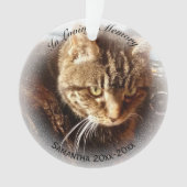 In Looptijd Geheugennaam Cat Dog Pet Memorial Ornament (voorkant)