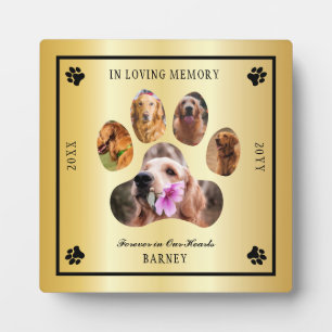 In Looptijd van Memory Photo Pet Memorial - Gold T Fotoplaat