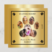 In Looptijd van Memory Photo Pet Memorial - Gold T Kaart (Voorkant / Achterkant)