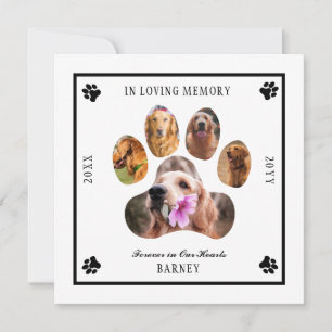 In Looptijd van Memory Photo Pet Memorial - White  Kaart
