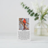 In Loving Memory Cardinal Sympathy Card Visitekaartje (Staand voorkant)