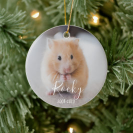 In Loving Memory of Pet, hondenkat, kip, hamster Keramisch Ornament