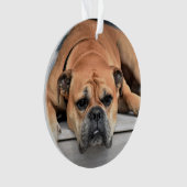 In Loving Memory Pet Christmas Memorial Ornament (voorkant)