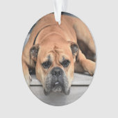 In Loving Memory Pet Christmas Memorial Ornament (voorkant)