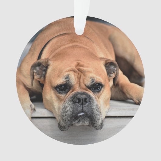 In Loving Memory Pet Christmas Memorial Ornament (voorkant)