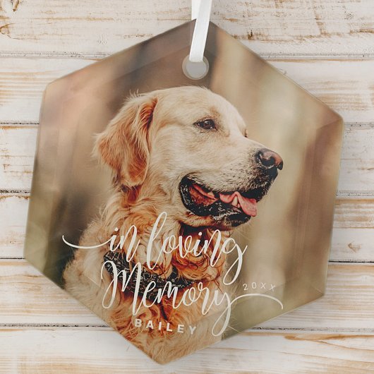 In Loving Memory PET Memorial Eenvoudige Moderne F Glas Ornament