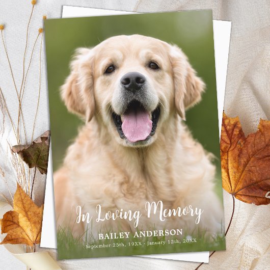 In Loving Memory Pet Memorial Moderne foto Bedankkaart