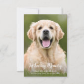 In Loving Memory Pet Memorial Moderne foto Bedankkaart (Voorkant)