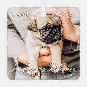 In Loving Memory Pet Memorial Simple Modern Photo Metalen Ornament (Voorkant)