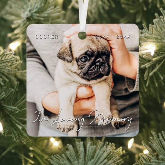 In Loving Memory Pet Memorial Simple Modern Photo Metalen Ornament (Insitu)