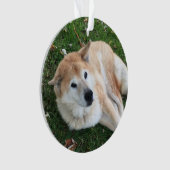 In Loving Memory Pet Photo Ornament (voorkant)