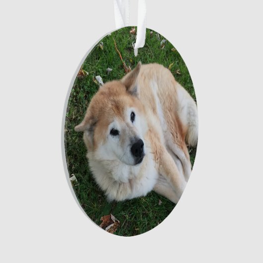 In Loving Memory Pet Photo Ornament (voorkant)