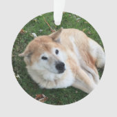 In Loving Memory Pet Photo Ornament (voorkant)