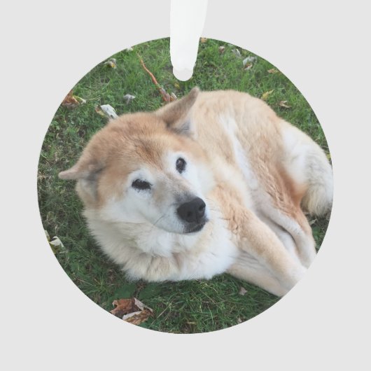 In Loving Memory Pet Photo Ornament (voorkant)