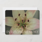In Loving Memory Roze Lily uitnodiging (Voorkant)