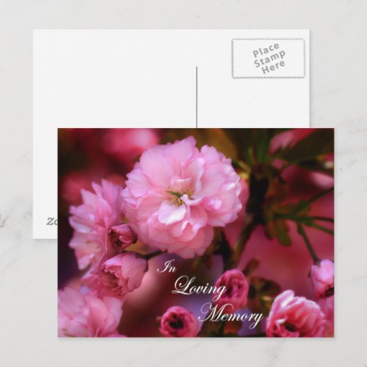 In Loving Memory Spring roze Cherry Blossom Briefkaart (Voorkant / Achterkant)