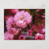 In Loving Memory Spring roze Cherry Blossom Briefkaart (Voorkant)