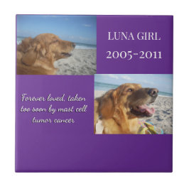 In Memory, Love Remains Tegeltje