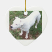 In Memory of the Anthony & Jayney Watson Ornament (Achterkant)